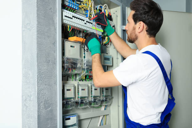 Best Electrical System Inspection  in Courtland, VA